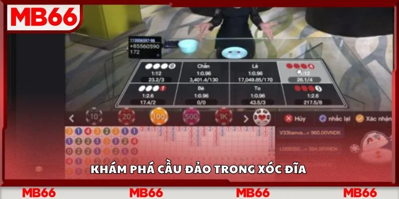 Khám phá cầu đảo trong xóc đĩa